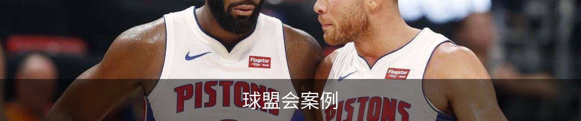 球盟会案例